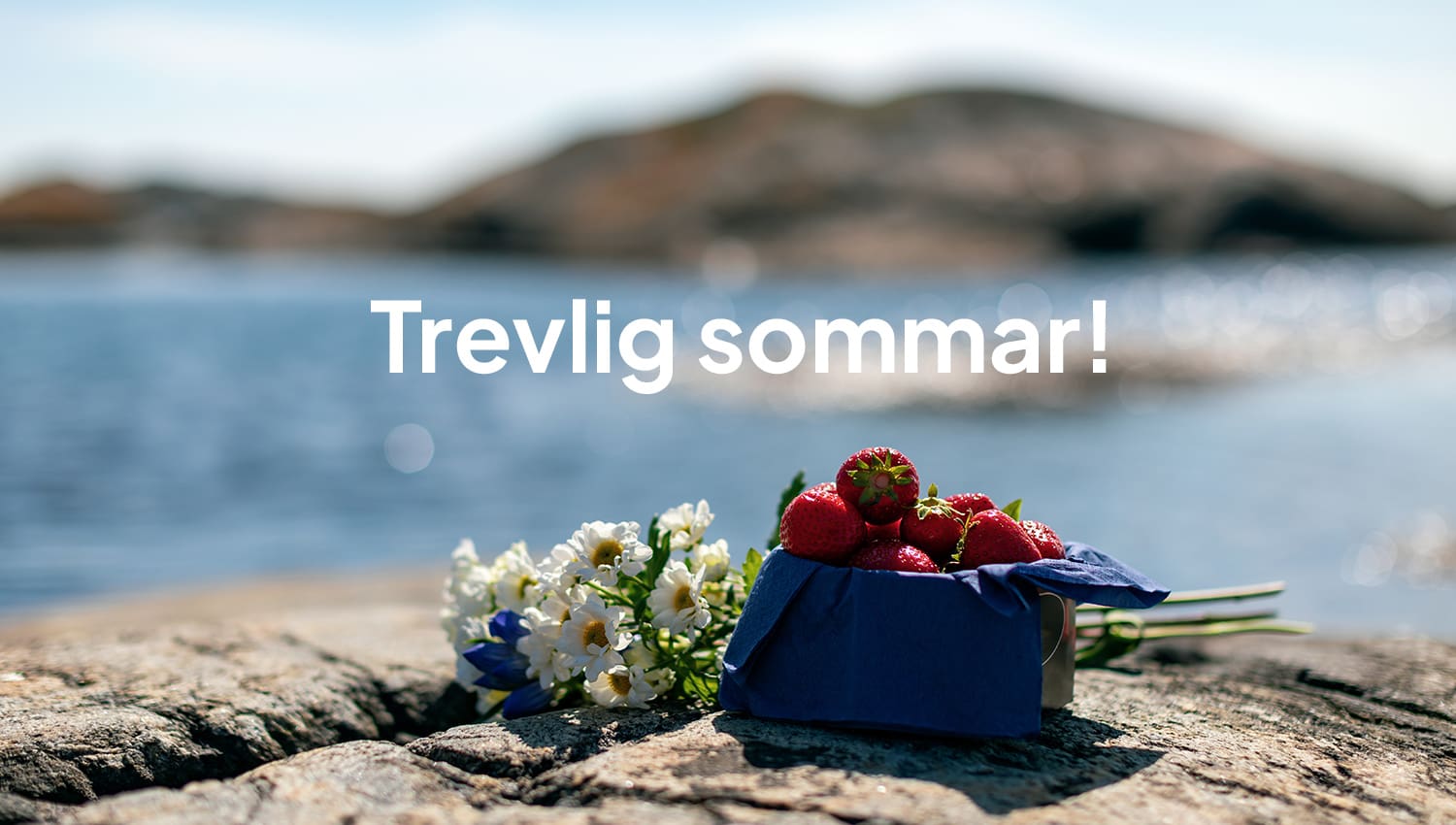Sommaren är här